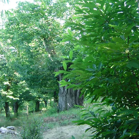 De La Vallee Saint-Hilaire-de-Lavit
